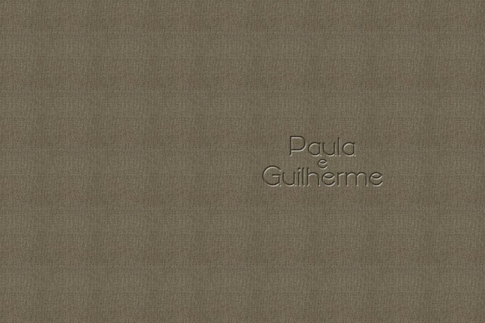 Paula e Guilherme